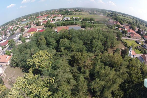 image-tokai137fb364265-f29a-c7ed-35df-054d3ac5ae48172596AA-9EDE-4D49-9AD5-3BE7CDFAD3AA.jpg