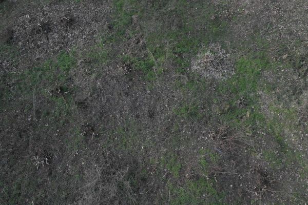 image-tomor021709e70ea-2cd0-f623-fa1a-62b377a297c71EEE3ACF-4BA1-204C-73E6-FA04606B5AFA.jpg