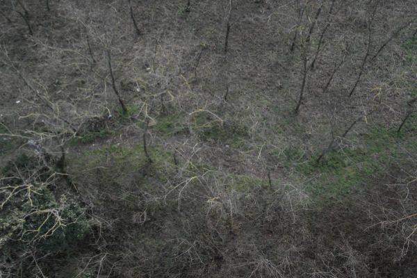 image-tomor03144aaca54-d41c-fa49-47af-ff9e87e25f9a04BDA4E6-F874-78A5-7751-032E7C915DE4.jpg