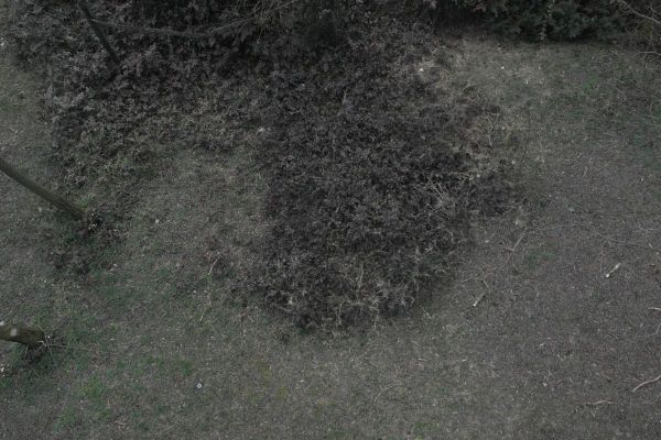 image-tomor0685dc2486c-3784-2ec8-83d4-6f22de0045ba6950ECC5-7CC0-66B9-D9B4-174328EEFF3A.jpg