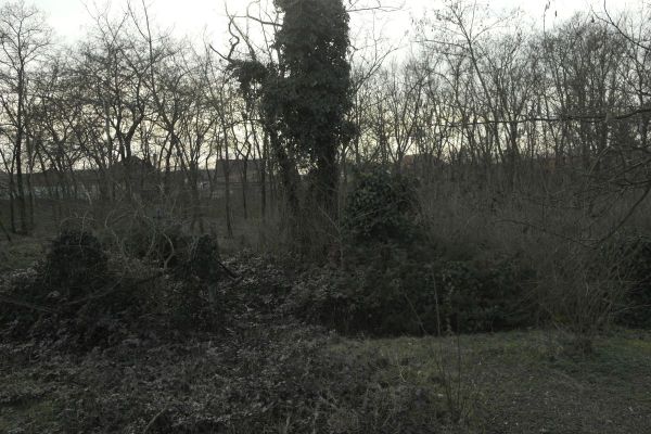 image-tomor0725578f086-82e7-9ab6-a25c-904556fafa8624B97C23-0711-FD4D-942B-46D5F7D701C2.jpg