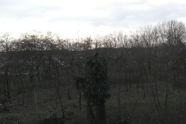 image-tomor073702191f4-0737-9c68-7153-649ba190be7f1D4F415B-B425-F0F8-78C5-20462321C049.jpg