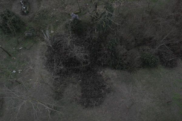 image-tomor077d777342c-39f9-4972-678c-2749a63a06fcC53FDE9E-A9E6-8B78-1A64-70E759E6B07E.jpg