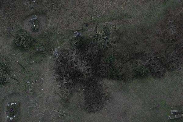image-tomor07808f7545a-c0d4-cf60-411f-7641a3357f985BF314FD-978B-E8D3-F083-5850AA886C61.jpg