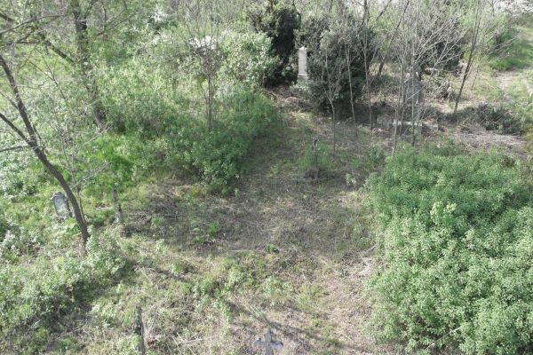 image-tomor240d9437a41-442b-ca30-4e0e-aac9b7354f4dCF83B6A6-B032-5661-059A-82010CAA2E31.jpg