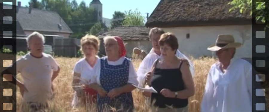 Kézi aratás 