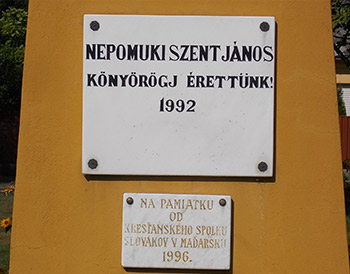 nszj01